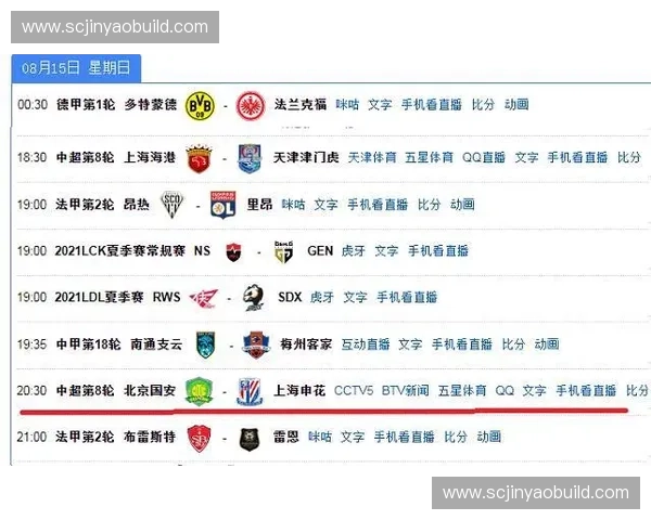 2024年巴西奥运会赛事安排全览：各大比赛时间与活动亮点详细指南